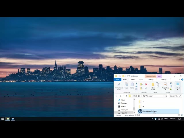 Software Project